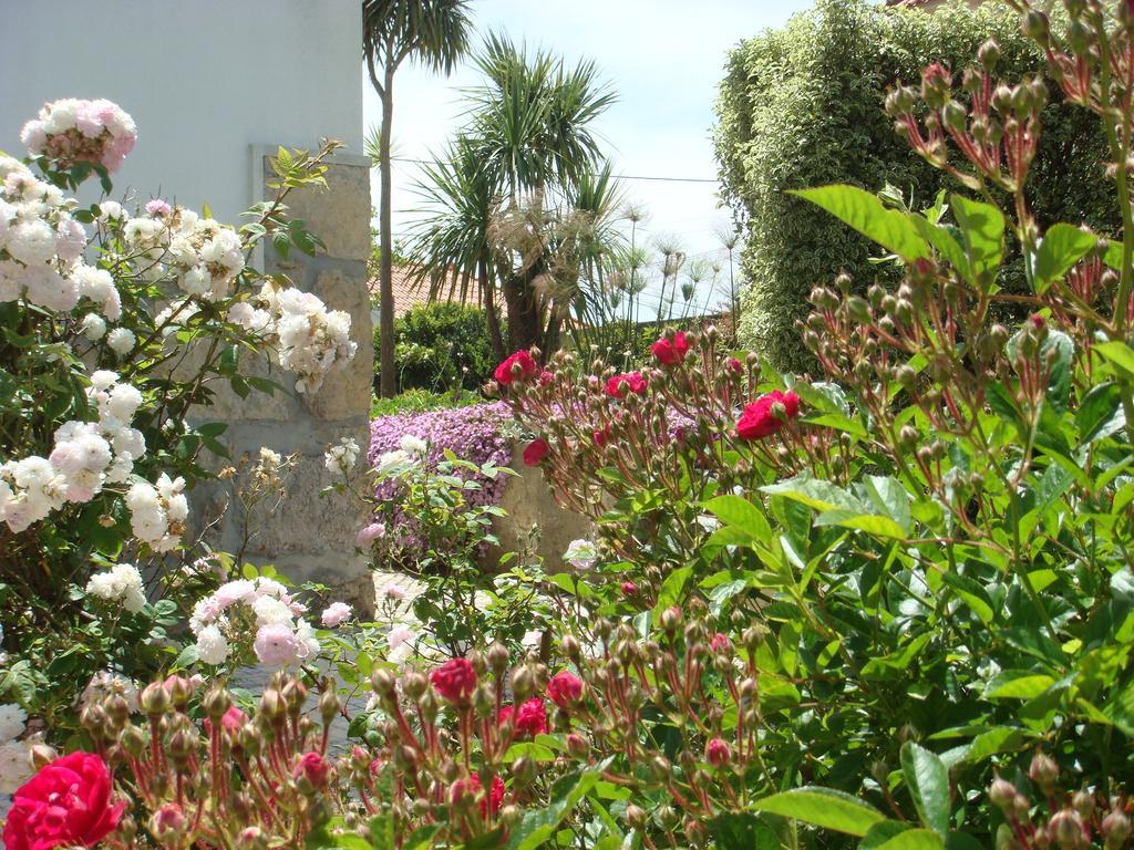 Casa De Hospedes Flor Do Jardim Малвейра Экстерьер фото